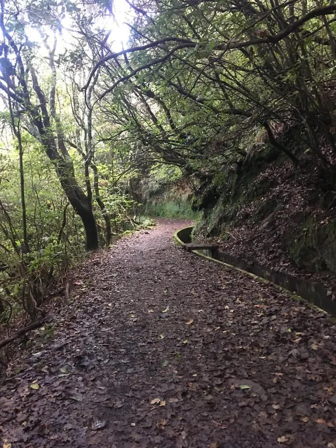 Quiet Place Machico
