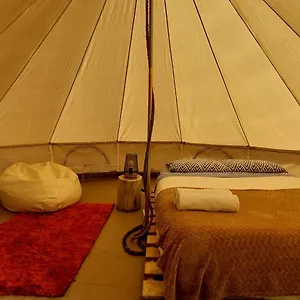 Glamping Nature Retreat - Laurel Forest, Seixal (Madeira)